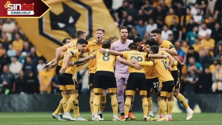 doi hinh wolves Đội hình dự kiến wolves