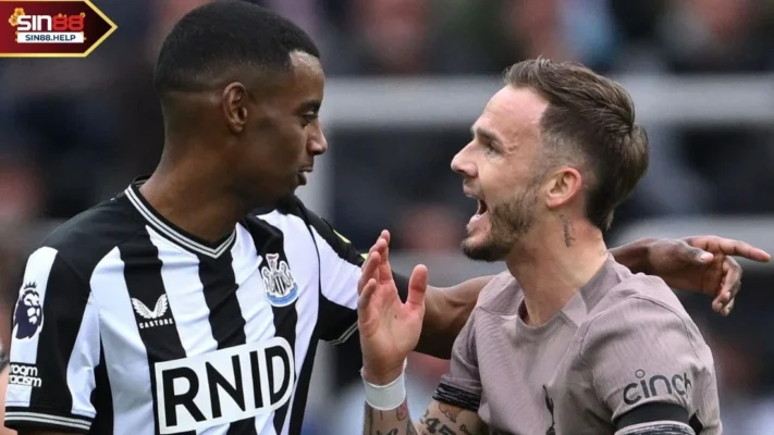 sin88 phan tich newcastle vs tottenham SIN88 phân tích tình hình trước trận đấu
