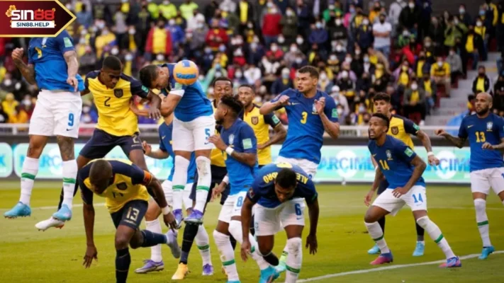 sin88 phan tich brazil vs ecuador SIN88 phân tích tình hình Brazil vs Ecuador trước trận đấu